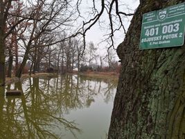 Rybník Pod Skalkou vysazování kaprů 1.3.24-0.jpg
